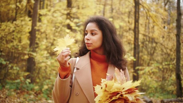 Autumn Outdoor Portrait Of Beautiful African American Young Woman - Black People, happy student female in city park, tourist, safe travel