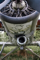 Wrak starego samolotu stojący w zaroślach