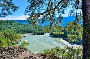 Beautiful sunny summer landscape on place where Chemal River flows into Katun River - two fast mountains rivers with rocky banks coniferous forest covered, Altai mountains, Russia