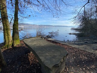 Lake Zurich (Zuerichsee oder Zürichsee) and a coastal landscape with vegetation in late winter in...