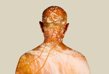 Man body with a forest and a waterfall on his back