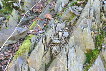 Natural Rock Texture