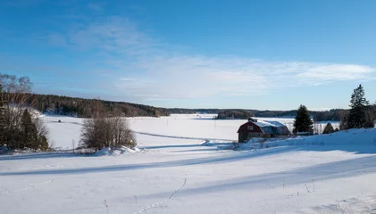 Fotobehang Scenic view of winter landscape © Riku