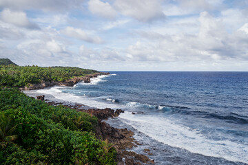 Tropical landscape. Seashore, big waves.