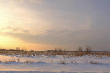 Scenic view of a snow-covered field with shrubs and dry grass during sunrise. Frosty morning. High quality photo.