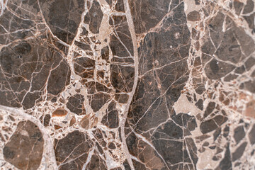 Luxurious dark brown marble with light streaks. The polished quartz stone background is naturally striped with a unique pattern, dark concentric stripes