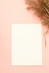 blank a4 paper sheet on pink background with dry grass