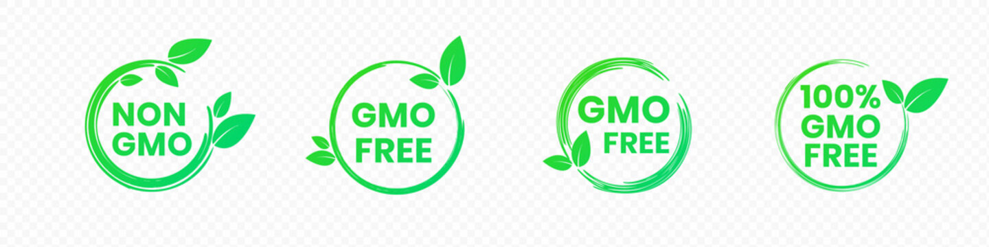 Non Gmo And Gmo Free Badges In Bright Green Color With Leaves Icons. Round Eco Friendly Emblems For Promotion Genetically Unmodified Products. Vector Illustration Of Healthy Food Labels