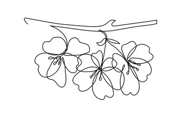 Vector modern set of isolated hand drawn doodle flowers. Sakura, cherry, plum flowers. Pattern of flowers drawn by one line on a white background.