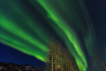 Fototapeta na wymiar Aurora borealis, Northern Lights, near Fairbanks, Alaska