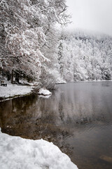 Le lac de Bonlieu, un des plus beaux lacs du Jura, en Franche-Comt&eacute;, gel&eacute; par la glace et sous la neige de l'hiver