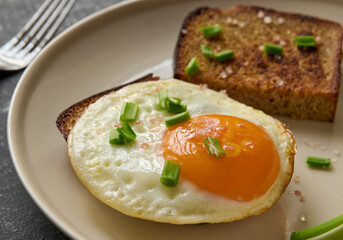 Fototapeta na wymiar Breakfast Concept. Fried egg and rye fried bread slices, macro