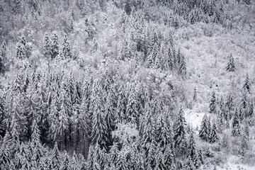 Vue panoramique depuis le ballon d'Alsace, sommet du massif des Vosges, dans Territoire de Belfort...