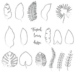 Summer tropical covers backgrounds set with leaf. Vector set floral background, Nature background, banner, cover, templates, posters.