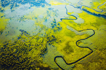 Aerial drone view of winding river in green field. Lush wetlands of bird's eye view.