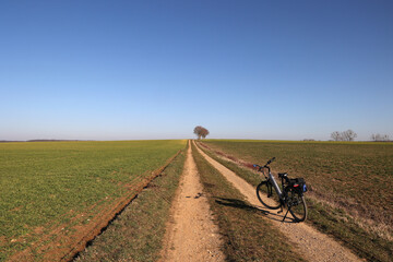 First spring bike rides among green fields