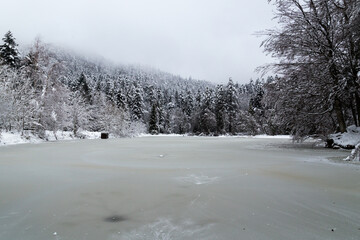 L'étang du Petit-Haut, un lac situé dans les contreforts du Ballon d'Alsace, dans le massif des Vosges, dans le département du Territoire de Belfort