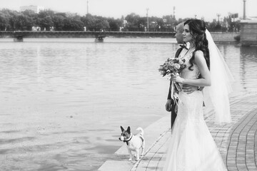 Happy couple on wedding day. Walk the bride and groom in the national park in autumn. Beautiful wedding. Black and White Photo.