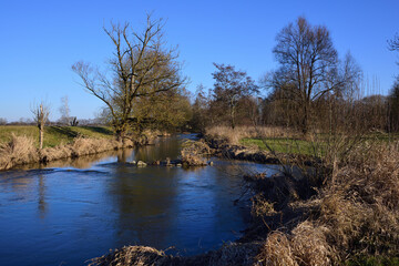 Fototapeta na wymiar Typical river landscape in February in Bavarian Swabia with lots of plants around it, with sunshine and blue skies