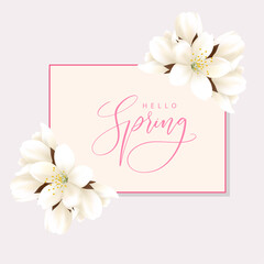 Floral Background and Hello Spring Lettering. Cherry Blossom Template. Branch with With White Flowers. Vector Illustration EPS10