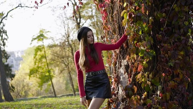 Passionate, long-haired girl leans on autumn tree trunk and poses for camera