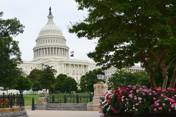US Capitol Building and spring - Washington D.C. United States of America