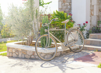 Fototapeta na wymiar bicycle in the garden in summer