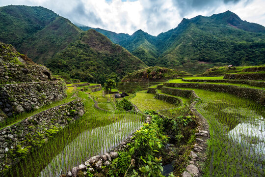 dramatic  rice terraces landscape taken in Batad, Banaue, Philippines during a summer travel in Asia
