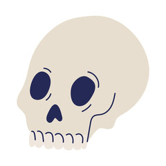 skull on a white background