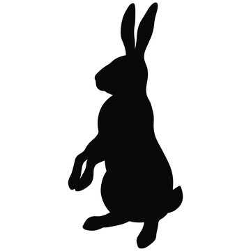 Hand drawn vector silhouette of bunny. Stock illustration of easter rabbit isolated on white.