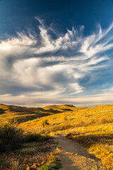 Fototapeta premium USA, Arizona, Globe. Desert landscape in Round Mountain Park.