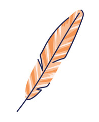 orange feather on a white background