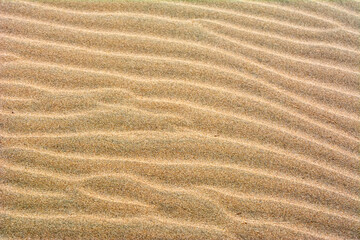 Fine beach sand in the summer sun.   Sand texture. Sandy beach for background. Top view.