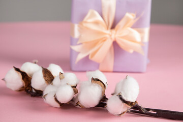 gift box with cotton branch