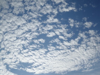 sky with clouds altocumulus