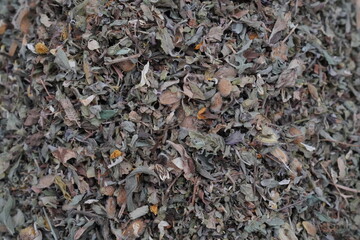 herbs macro structure