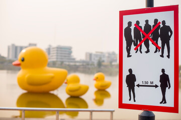 Warning sign Social distancing in the park. Simple people black and white silhouettes with arrow distance between, Keep the 1.50 meter distance. with silhouettes three ducks blur background.