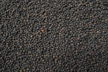 Pepper macro structure