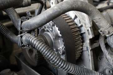 Timing belt put on the phase regulator gear. Selected focus. Maintenance and repair of a modern car. Spare parts for modern cars.