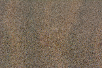 Fine beach sand in the summer sun.   Sand texture. Sandy beach for background. Top view.