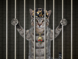 A gray cat in a bandana was arrested. He is behind bars in the prison.