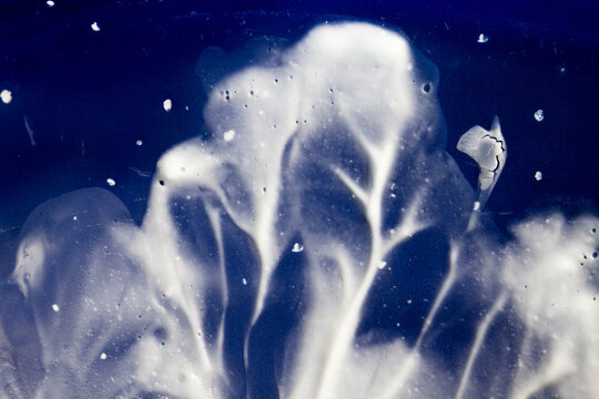 USA, Arizona. Abstract Of Yogurt Remnants In Blue Bowl.