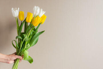 Tulips are yellow, white in the hand on a gray background. The concept of flower delivery. Congratulations on Mother's Day, International Women's Day, Birthday. Bright spring greeting card, copy space