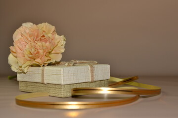 The studio photo of a beautiful pink carnation flower and gift box with golden ribbon for mother's and woman's day. Space for text