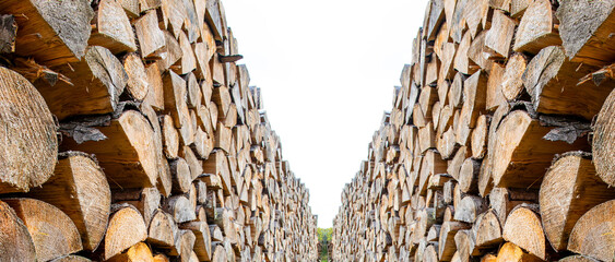 View between piles of stacked dried and chopped wood