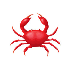 Crab in flat and cartoon style isolated on white background. Seafood product design.