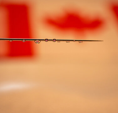 Canadians, get your Covid 19 vacine shot. 