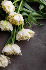 Fototapeta premium Bouquet of yellow tulips tied with a ribbon. Beautiful delicate flowers on a dark table.