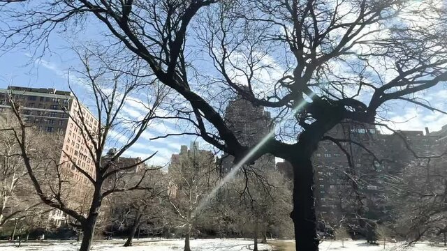 Manhattan Upper West Side Winter Trees And Snow Driving Past Park And Buildings New York City NYC