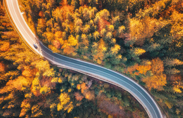 Aerial view of mountain road in beautiful forest at sunset in autumn. Top view from drone of...